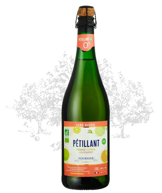 Pétillant Pomme Citron Gingembre Bio